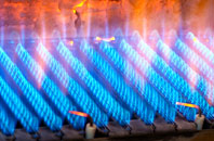 Wattston gas fired boilers